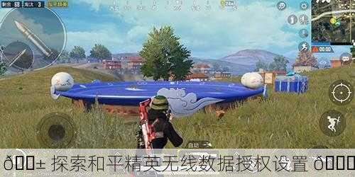 📱 探索和平精英无线数据授权设置 🔐