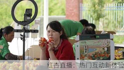 红杏直播：热门互动新体验