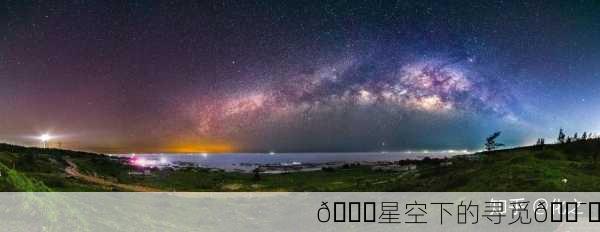 🌌星空下的寻觅🕯️