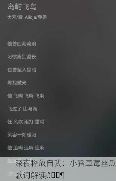 深夜释放自我：小猪草莓丝瓜歌词解读🎶