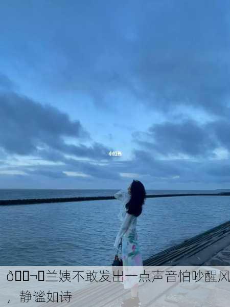 🌬️兰姨不敢发出一点声音怕吵醒风，静谧如诗