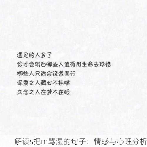解读s把m骂湿的句子：情感与心理分析