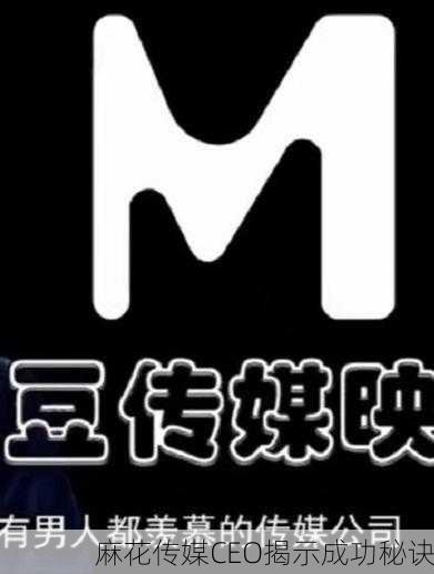 麻花传媒CEO揭示成功秘诀