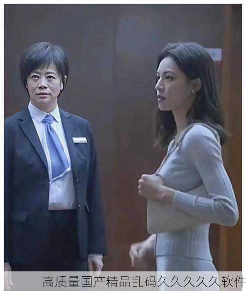 高质量国产精品乱码久久久久久软件