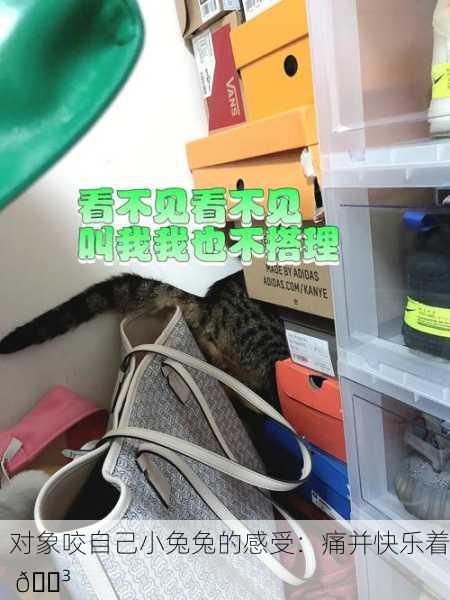 对象咬自己小兔兔的感受：痛并快乐着 😳