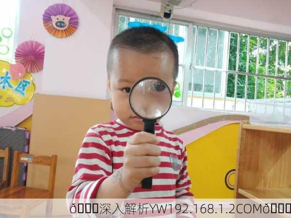 🔍深入解析YW192.168.1.2COM🌟