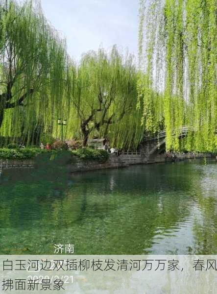 白玉河边双插柳枝发清河万万家，春风拂面新景象