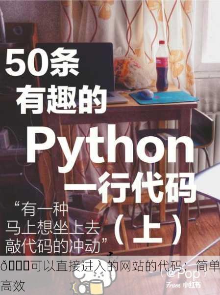 🌐可以直接进入的网站的代码：简单高效