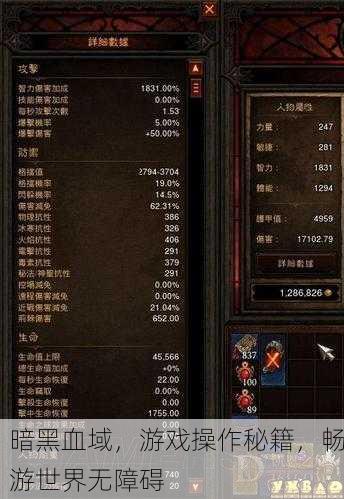 暗黑血域，游戏操作秘籍，畅游世界无障碍
