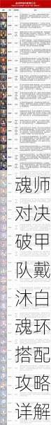 魂师对决破甲队戴沐白魂环搭配攻略详解