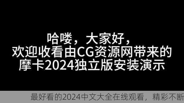 最好看的2024中文大全在线观看，精彩不断