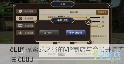 🎮 探索龙之谷的VIP商店与会员开启方法 🎁