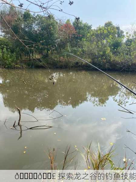 🌊️🎣 探索龙之谷的钓鱼技能
