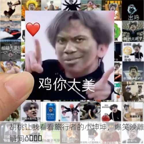 胡桃让我看看旅行者的小坤坤，爆笑沙雕瞬间😂