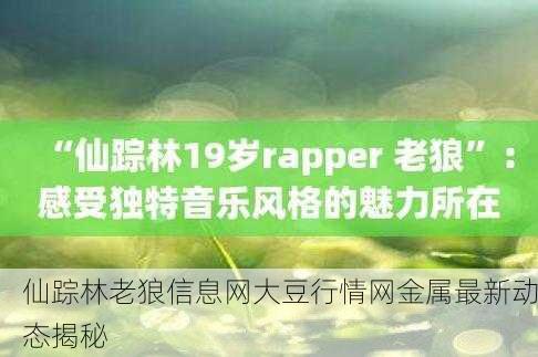 仙踪林老狼信息网大豆行情网金属最新动态揭秘