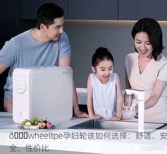 🔍wheeltpe孕妇轮该如何选择：舒适、安全、性价比