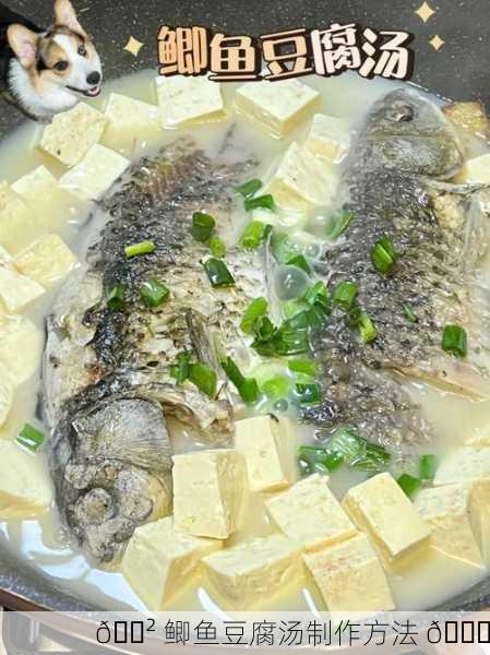 🍲 鲫鱼豆腐汤制作方法 🐟