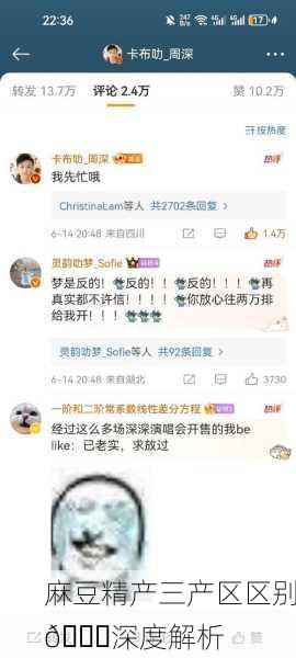 麻豆精产三产区区别🌟深度解析