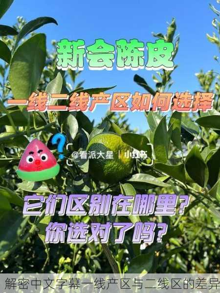 解密中文字幕一线产区与二线区的差异