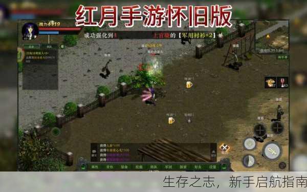 生存之志，新手启航指南