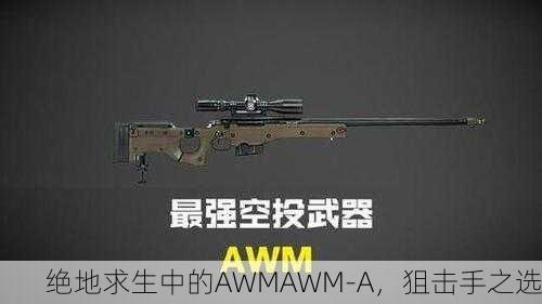 绝地求生中的AWMAWM-A，狙击手之选