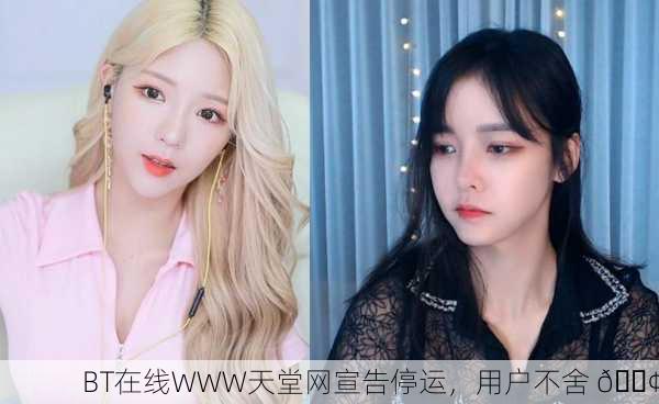 BT在线WWW天堂网宣告停运，用户不舍 😢