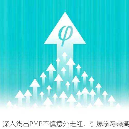 深入浅出PMP不慎意外走红，引爆学习热潮