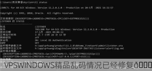 VPSWINDOWS精品乱码情况已经修复🎉