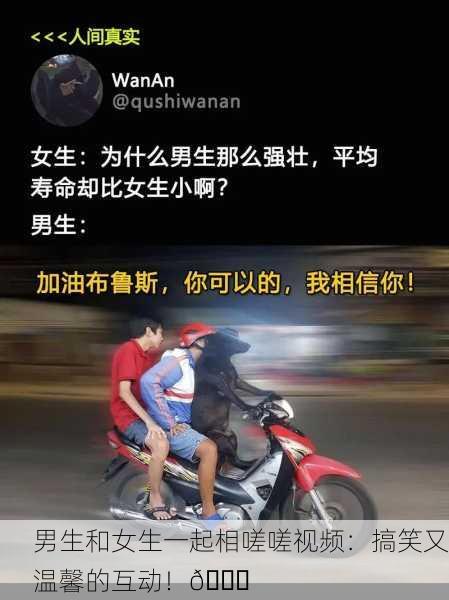男生和女生一起相嗟嗟视频：搞笑又温馨的互动！😂