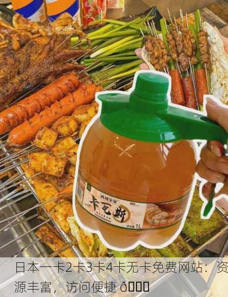 日本一卡2卡3卡4卡无卡免费网站：资源丰富，访问便捷 🌐