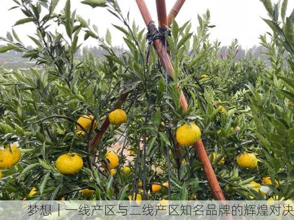 梦想｜一线产区与二线产区知名品牌的辉煌对决
