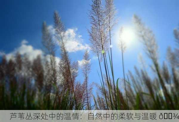 芦苇丛深处中的温情：自然中的柔软与温暖 🌾