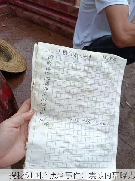 揭秘51国产黑料事件：震惊内幕曝光