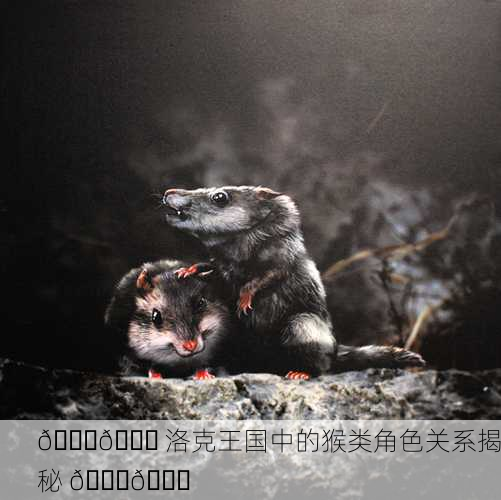 🐉🐒 洛克王国中的猴类角色关系揭秘 🐒🔍
