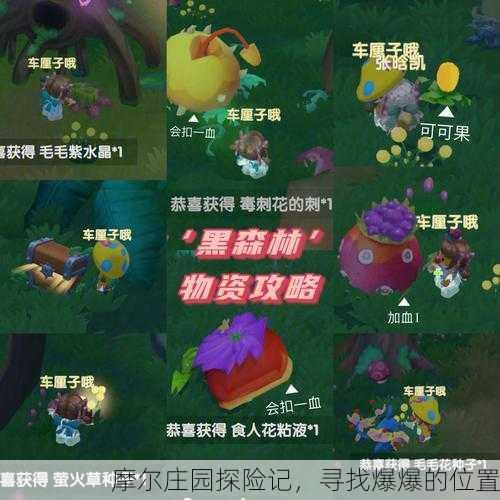 摩尔庄园探险记，寻找爆爆的位置