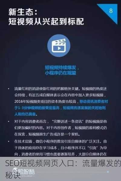 SEO短视频网页入口：流量爆发的秘诀