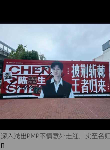 深入浅出PMP不慎意外走红，实至名归✨