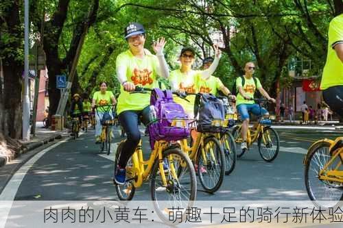肉肉的小黄车：萌趣十足的骑行新体验