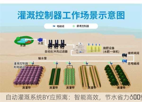 自动灌溉系统BY应照离：智能高效，节水省力💧