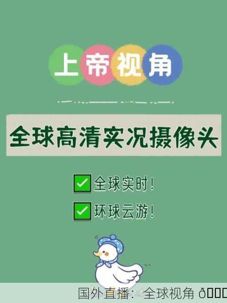 国外直播：全球视角 🌍