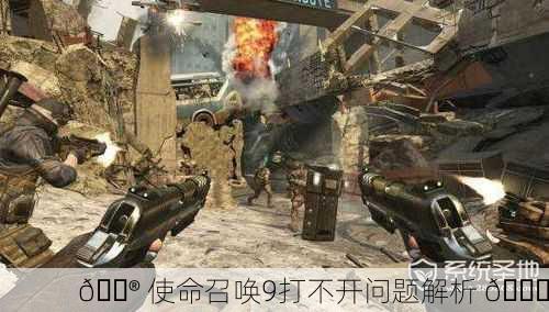 🎮 使命召唤9打不开问题解析 🔍