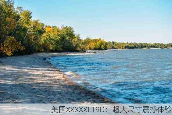 美国XXXXXL19D：超大尺寸震撼体验