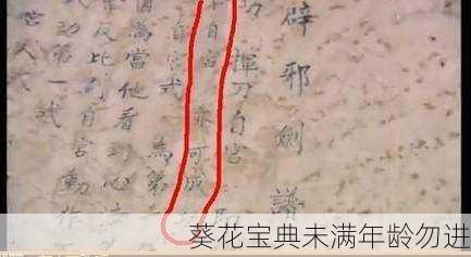 葵花宝典未满年龄勿进