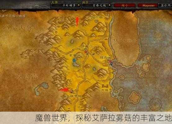 魔兽世界，探秘艾萨拉雾菇的丰富之地