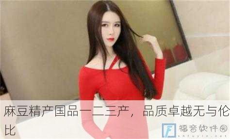 麻豆精产国品一二三产，品质卓越无与伦比