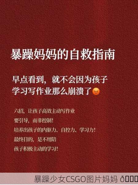 暴躁少女CSGO图片妈妈 😂