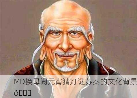 MD换母闹元宵猜灯谜苏秦的文化背景🎉