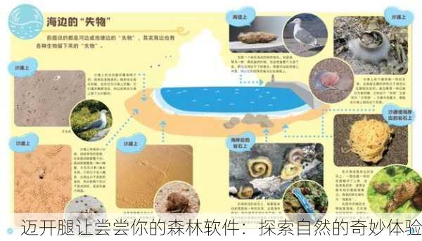 迈开腿让尝尝你的森林软件：探索自然的奇妙体验