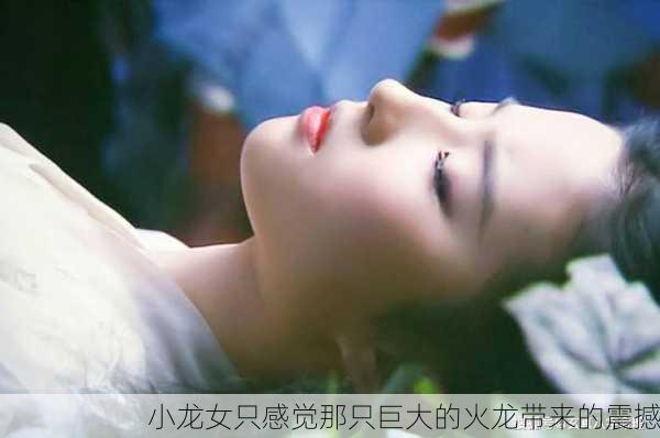 小龙女只感觉那只巨大的火龙带来的震撼