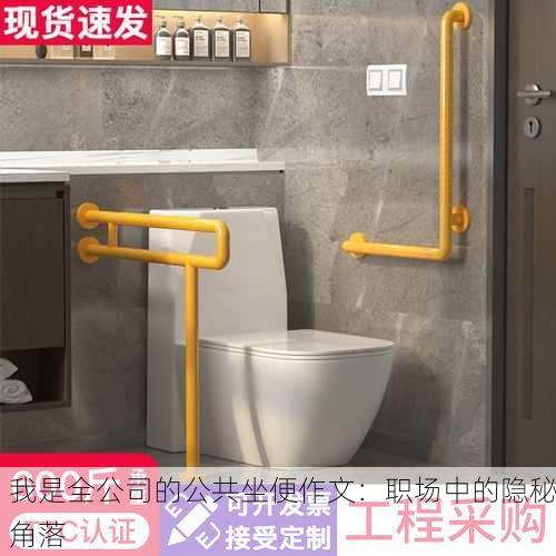 我是全公司的公共坐便作文：职场中的隐秘角落